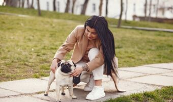 Weekly Grammar Perbedaan Who Whom Whose Bagaimana Cara Penggunaanya