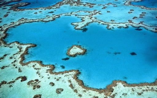 Tempat Wisata Terbaik di Australia - Great Barrier Reef